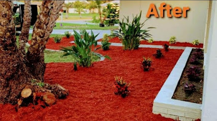 Clean View Tree Services SW Florida- Affordable Tree Trimming Cape Coral FL, Small Tree Removal, Quality Tree Service