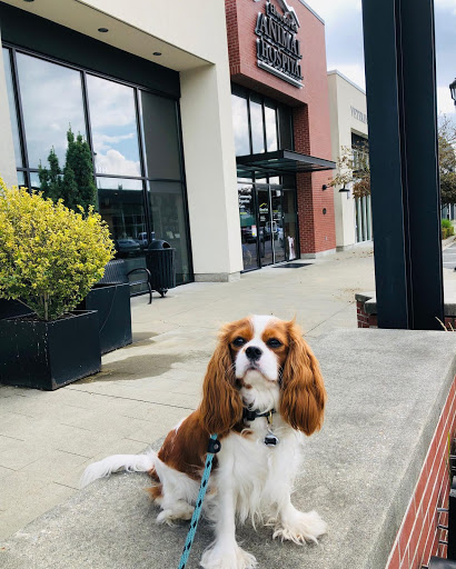 Ellwood Park Animal Hospital image