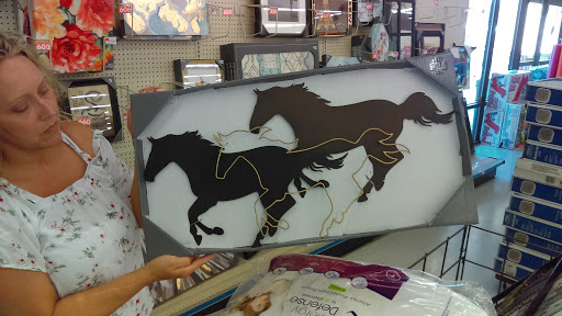 Discount Store «Big Lots», reviews and photos, 1320 Franklin Rd, Yuba City, CA 95993, USA