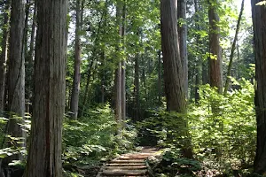 Akasawa Natural Recreational Forest image