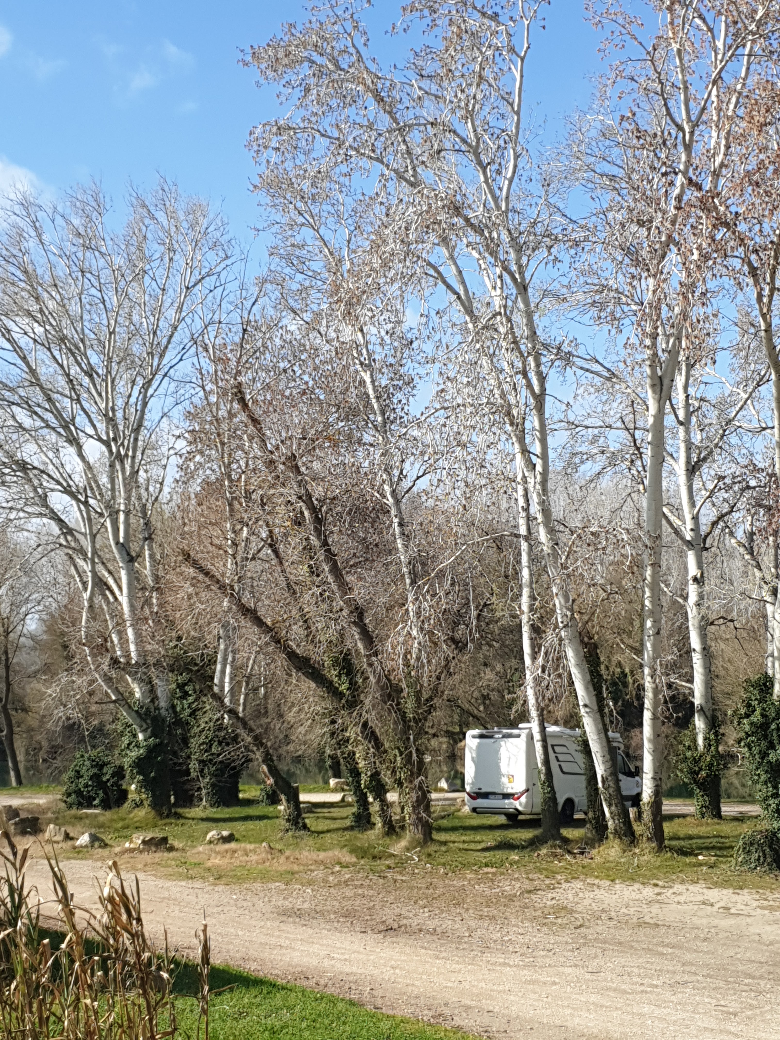 Photo n° 1 de l'avis de Dietrich.a fait le 10/03/2023 à 13:12