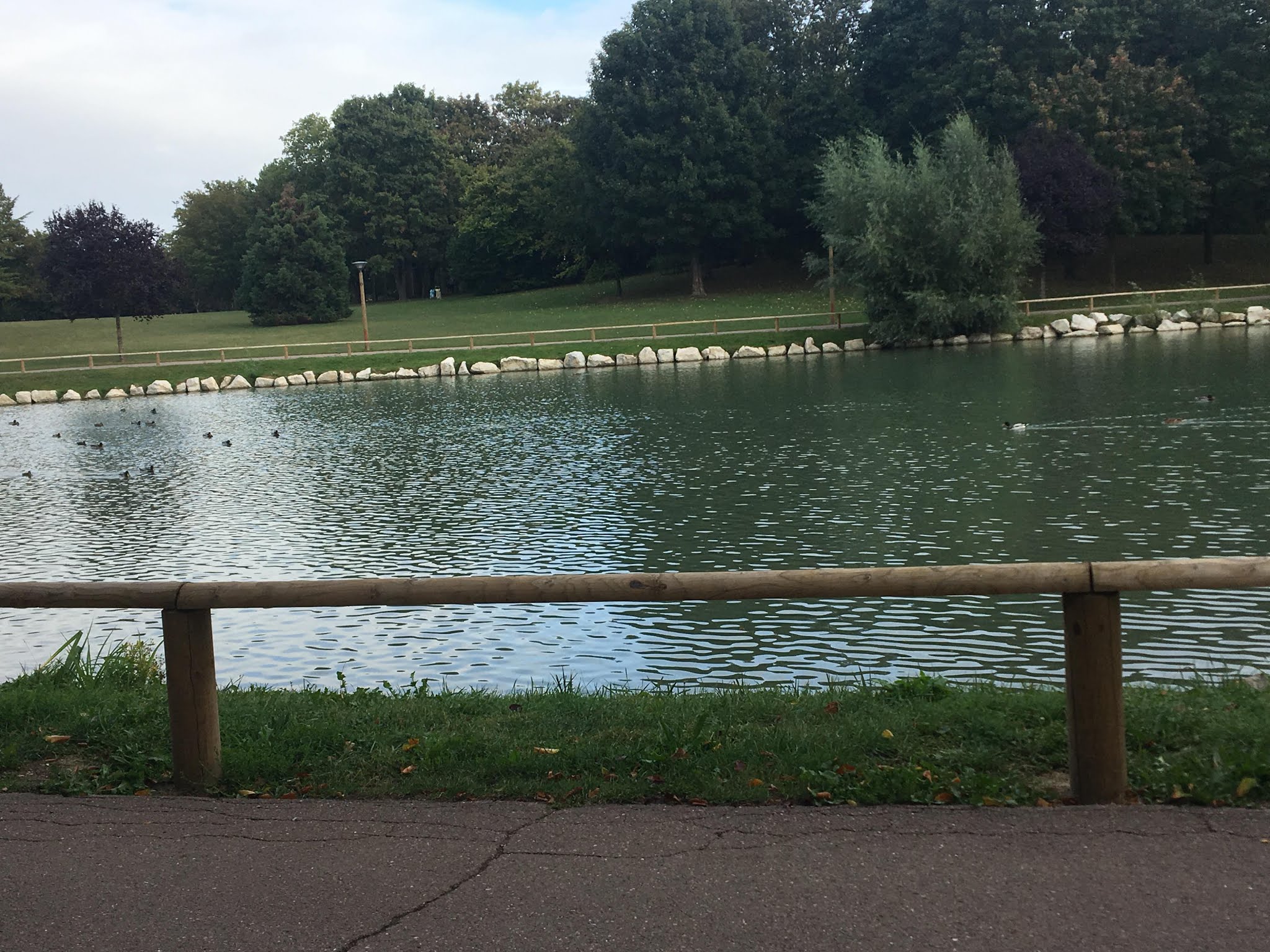 Photo n° 9 de l'avis de Youssef. fait le 20/10/2019 à 10:43