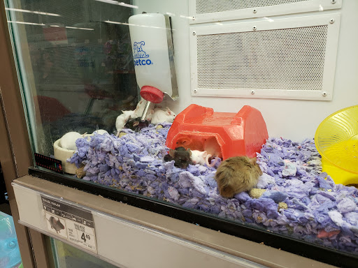 Pet Supply Store «Petco Animal Supplies», reviews and photos, 801 W Lake Ave, Peoria, IL 61614, USA