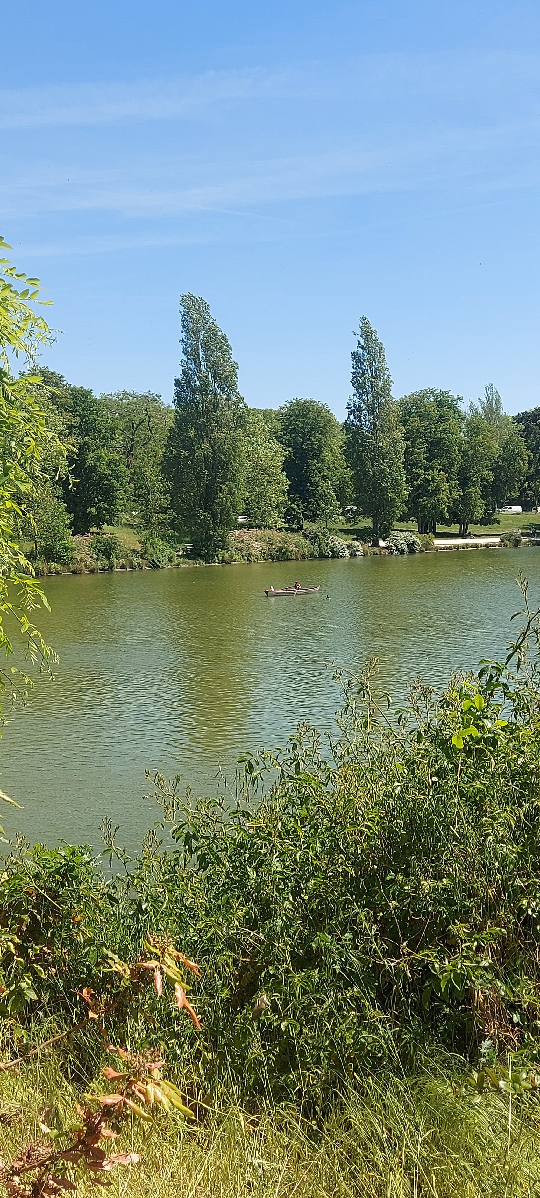 Photo n° 1 de l'avis de gwadilina.l fait le 12/05/2022 à 00:30