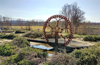 Parque – Parque de la Azuda – Aranjuez