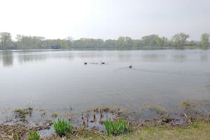 Sand Pond image