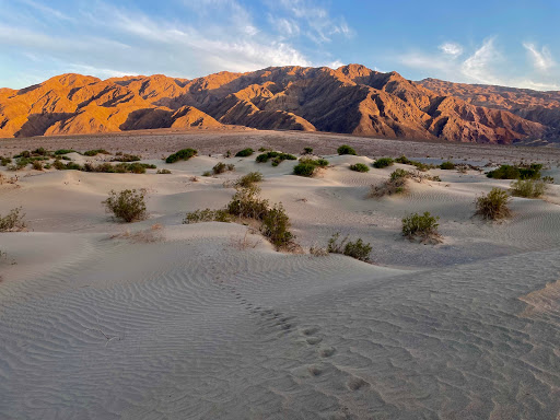 National Park «Death Valley National Park», reviews and photos
