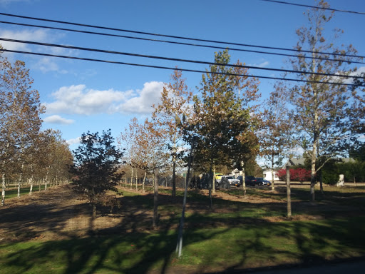 Self-Storage Facility «Life Storage», reviews and photos, 9 Hardscrabble Court, East Hampton, NY 11937, USA