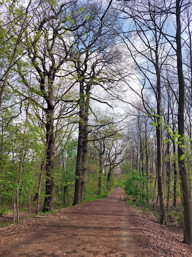 Bois de Clamart à Clamart