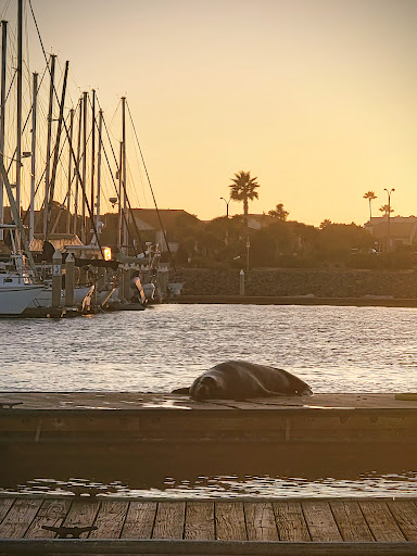 Safe Harbor Anacapa Isle image