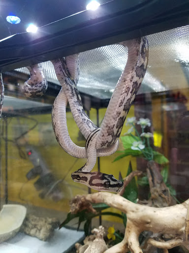 Pet Store «Critter Cabana - Wilsonville», reviews and photos, 8406 SW Main St #200, Wilsonville, OR 97070, USA