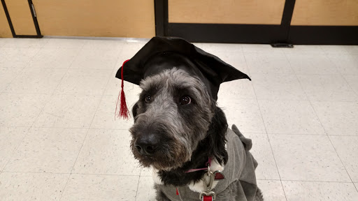 Pet Supply Store «PetSmart», reviews and photos, 1125 Hover St, Longmont, CO 80501, USA