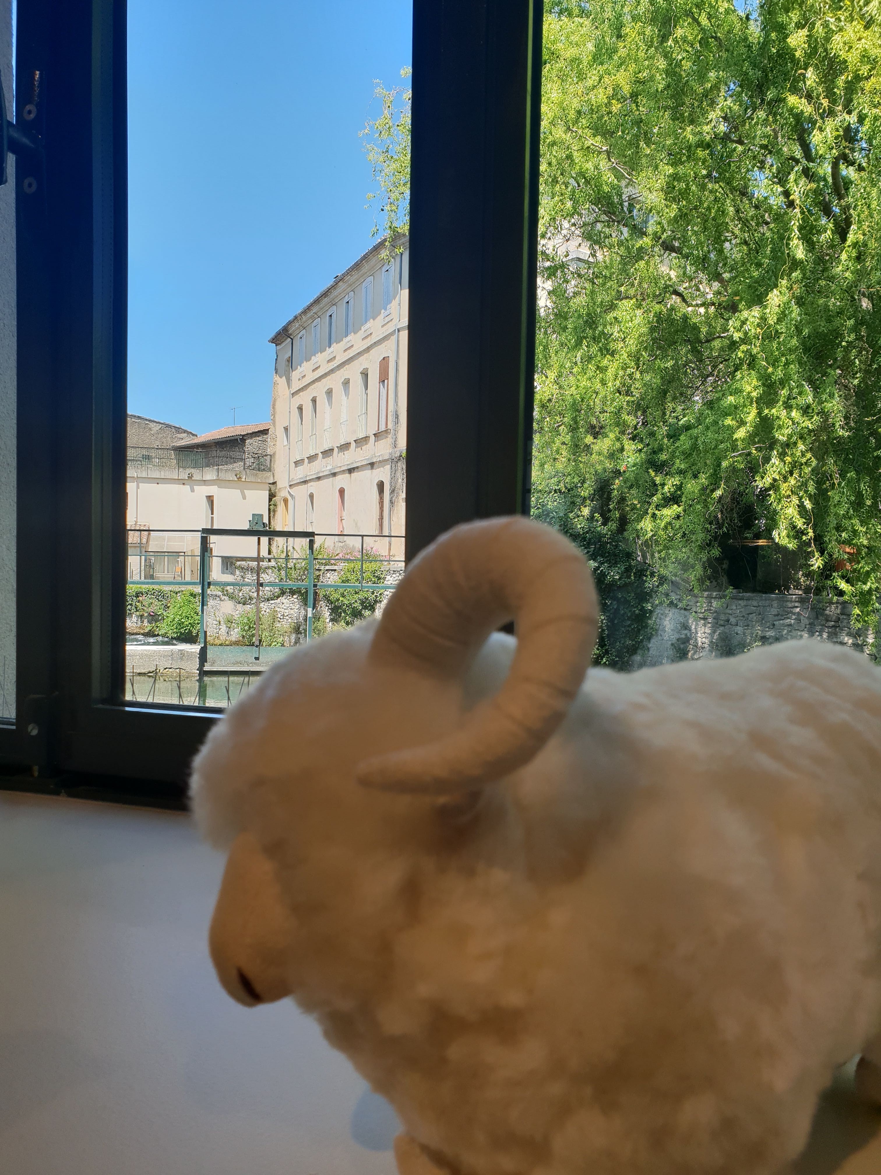 Photo n° 10 de l'avis de Nadine.e fait le 16/08/2018 à 09:39