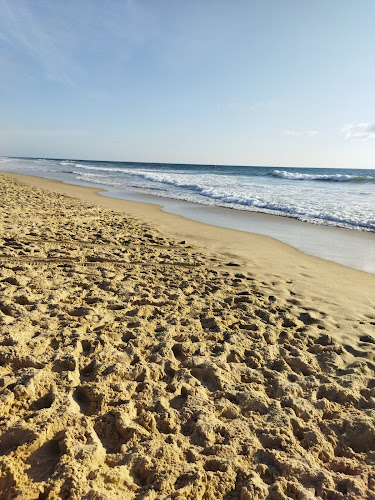 Landes Aventure à Mimizan