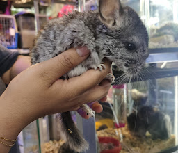 Mercado de Peces Mixihuca photo
