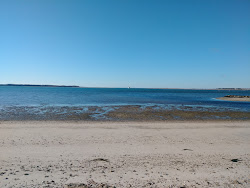 Colonial Acres Beach'in fotoğrafı vahşi alan