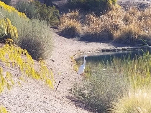 Country Club «Red Mountain Ranch Country Club», reviews and photos, 6425 E Teton Cir, Mesa, AZ 85215, USA