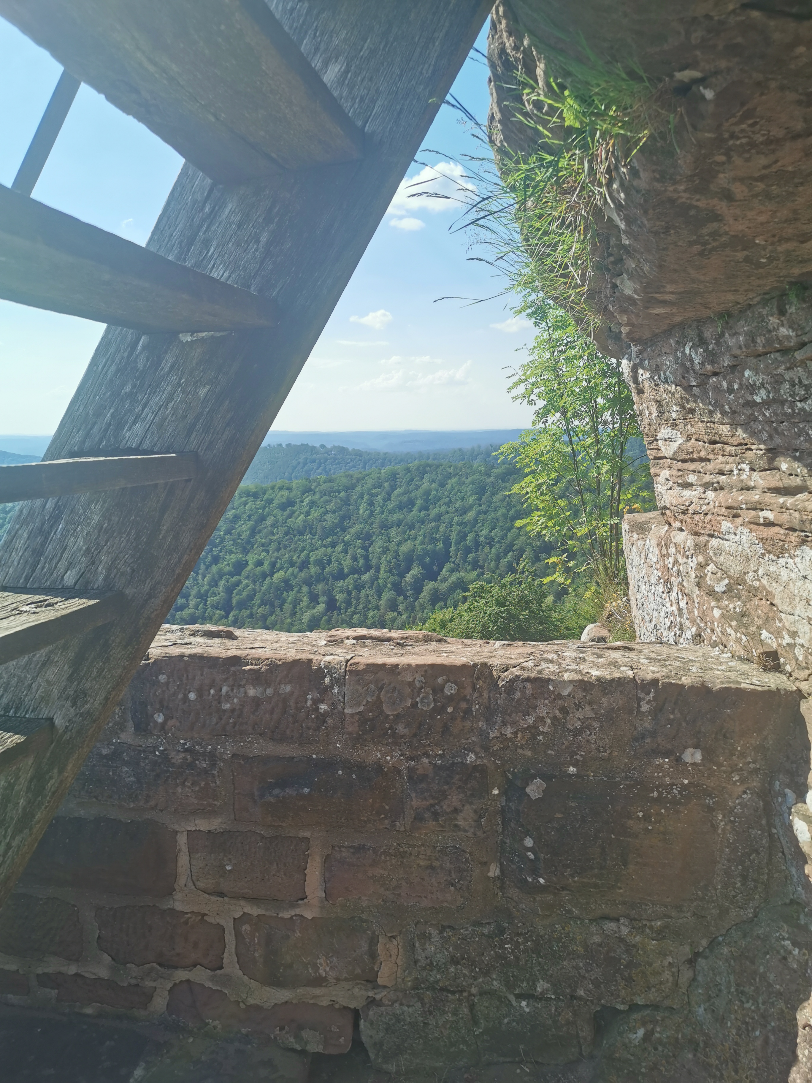 Photo n° 7 de l'avis de Mihai-Alexandru.u fait le 22/06/2023 à 19:07