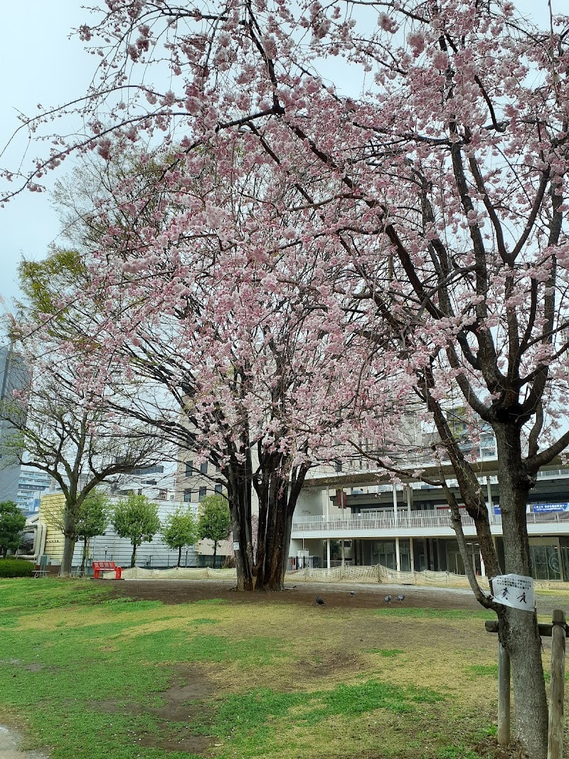 立川市 子ども家庭支援センター