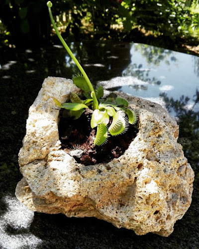 Comentarii opinii despre Stoneinuse - Bedey Gábor, kőszobrász