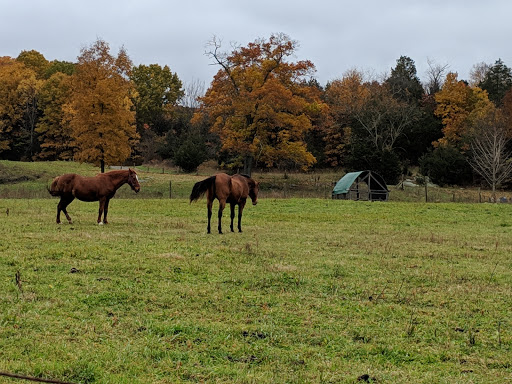 State Park «Lincoln Woods State Park», reviews and photos, 2 Manchester Print Works Rd, Lincoln, RI 02865, USA