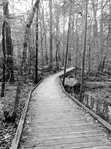 Hiking Area «Gold Branch Trail», reviews and photos, 6156 Lower Roswell Rd, Marietta, GA 30068, USA