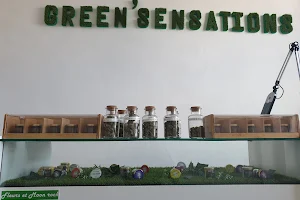 Green'sensations cbd shop image