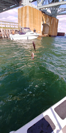 National Park «Jacob Riis Park (Gateway National Recreation Area)», reviews and photos, Rockaway Beach Blvd, Rockaway Park, NY 11694, USA