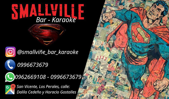 Opiniones de Smallville Bar Karaoke en San Vicente - Discoteca
