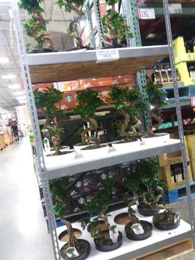 Warehouse club «BJ’s Wholesale Club», reviews and photos, 777 Washington St, Auburn, MA 01501, USA