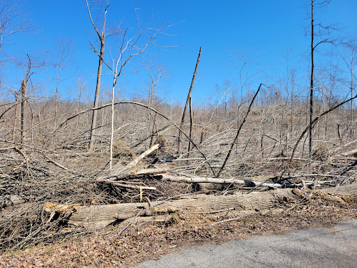 National Forest «Land Between the Lakes National Recreation Area», reviews and photos, 238 Visitor Center Dr, Golden Pond, KY 42211, USA