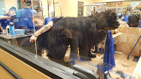 PetSmart - Photo 4 - Car repair in Staten Island, NY, New York