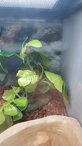 Pet Supply Store «Petco Animal Supplies», reviews and photos, 2072 Sycamore Rd, DeKalb, IL 60115, USA