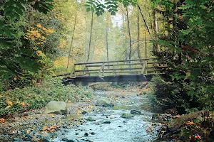 Byrne Creek Trail image