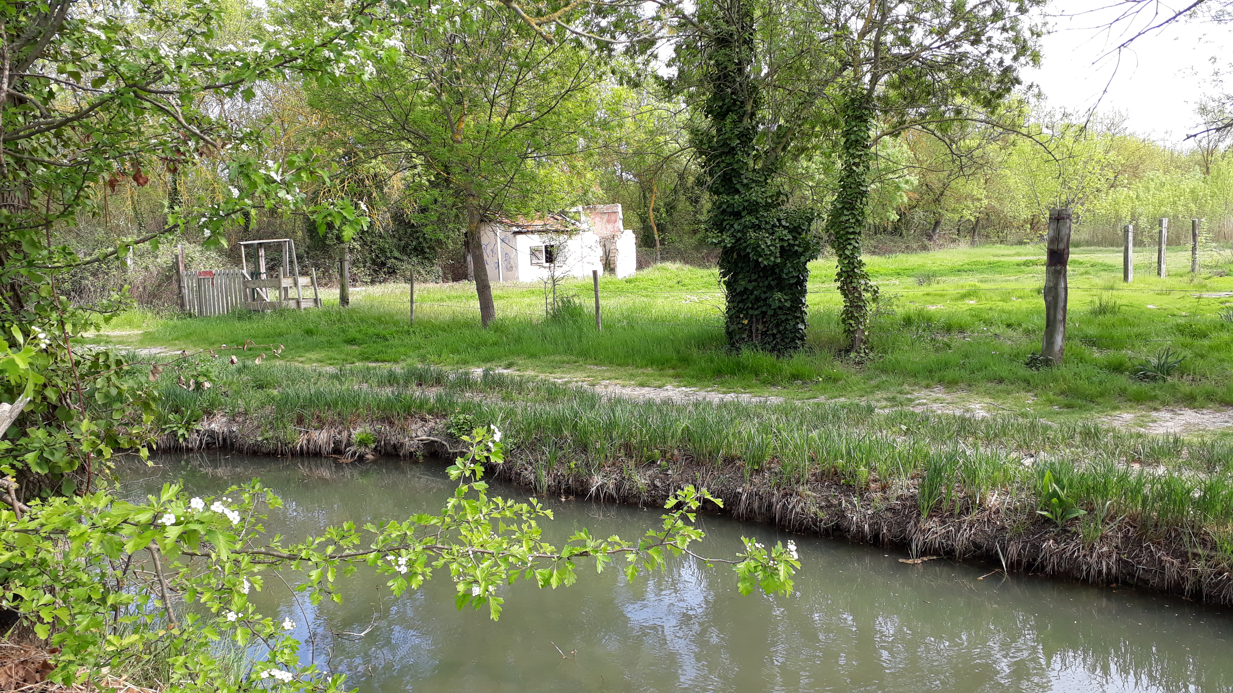 Photo n° 23 de l'avis de Cassandra.i fait le 17/03/2019 à 16:00