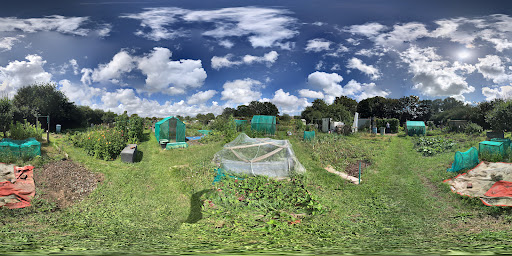 Leesland Allotments