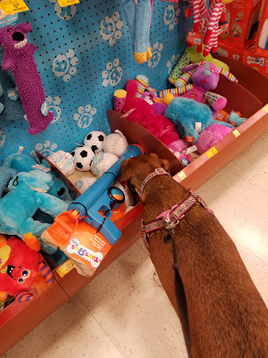 Pet Supply Store «PetSmart», reviews and photos, 67 Consumer Square, Plattsburgh, NY 12901, USA