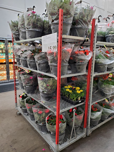 Warehouse store «Costco Wholesale», reviews and photos, 218 Lower Mountain View Dr, Colchester, VT 05446, USA