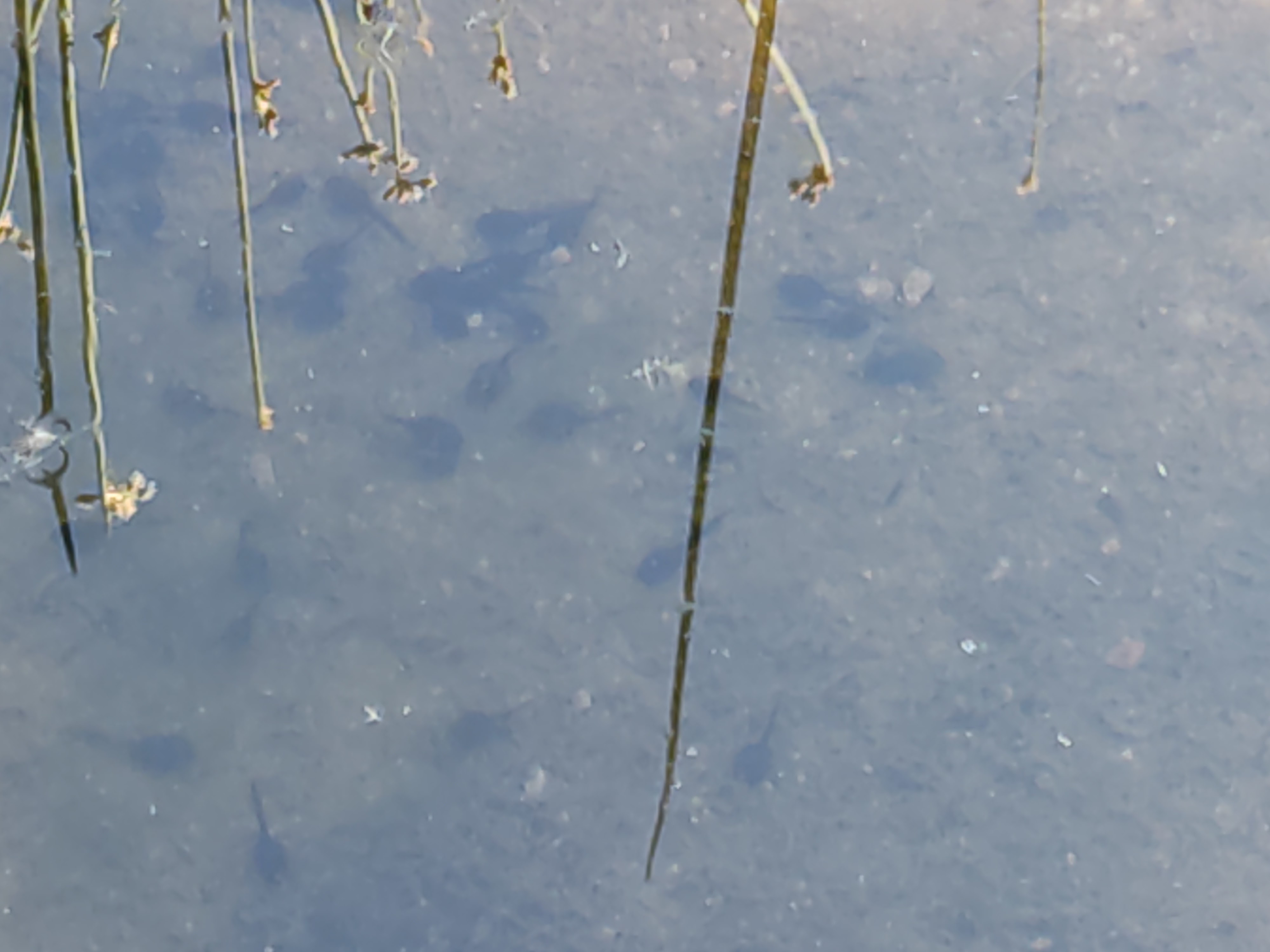 Photo n° 7 de l'avis de David.i fait le 29/05/2022 à 19:15