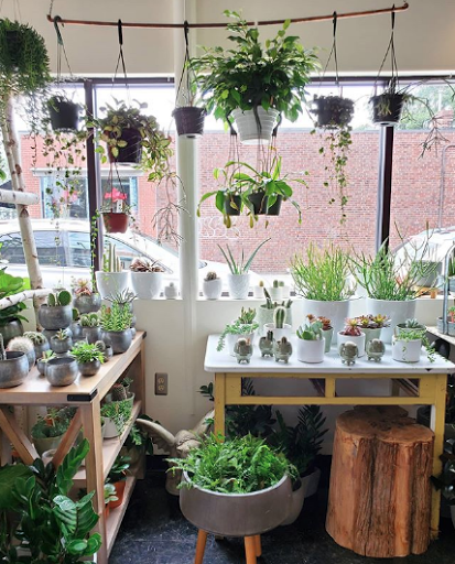 Florist «Providence Florist - Blooming Blossoms», reviews and photos, 780 Hope St, Providence, RI 02906, USA