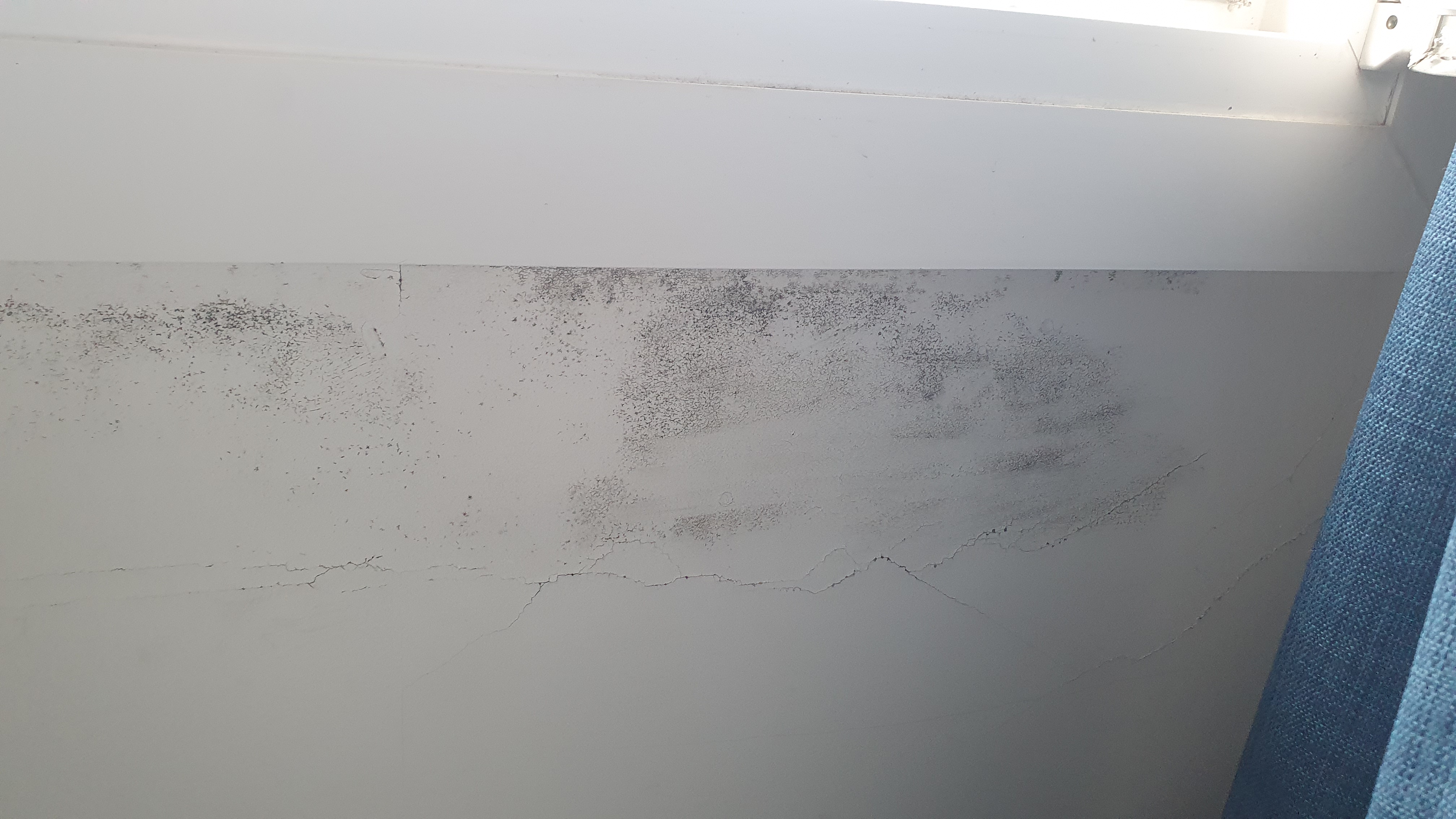 Photo n° 2 de l'avis de Morgane.o fait le 03/12/2022 à 18:23