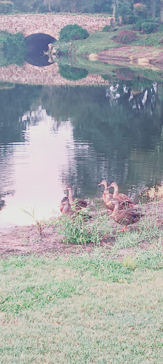 Golf Course «Glenview Park Golf Club», reviews and photos, 800 Shermer Rd, Glenview, IL 60026, USA