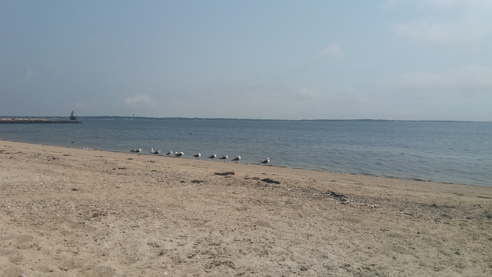 Fotografie cu East Beach cu nivelul de curățenie destul de curat
