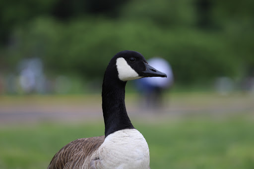 Historical Place «Fort Lee Historic Park», reviews and photos, Hudson Terrace, Fort Lee, NJ 07024, USA