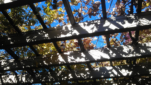 Art Museum «George Eastman Museum», reviews and photos, 900 East Ave, Rochester, NY 14607, USA