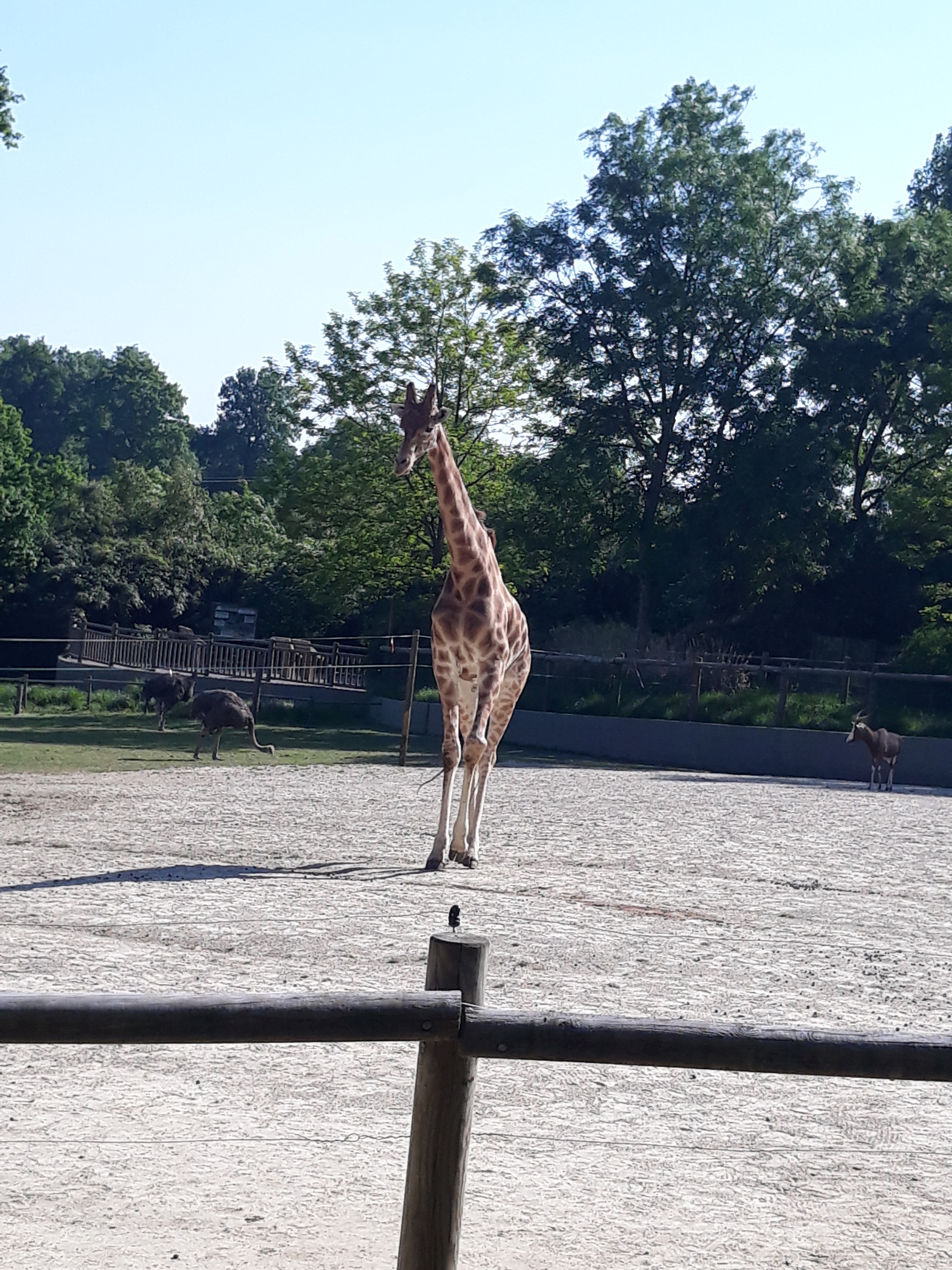 Photo n° 7 de l'avis de Aline.o fait le 23/05/2018 à 09:28