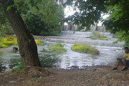 Bursa Binicilik İhtisas Kulübü