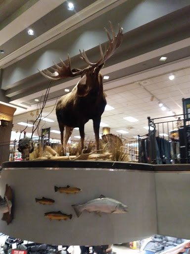 Shopping Mall «Cincinnati Mall», reviews and photos, 600 Cincinnati Mills Dr, Cincinnati, OH 45240, USA