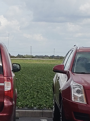 Produce Wholesaler «Goodson Farms Inc.», reviews and photos, 12405 Balm Rd, Balm, FL 33503, USA