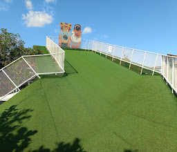 Tamora Gallery photo